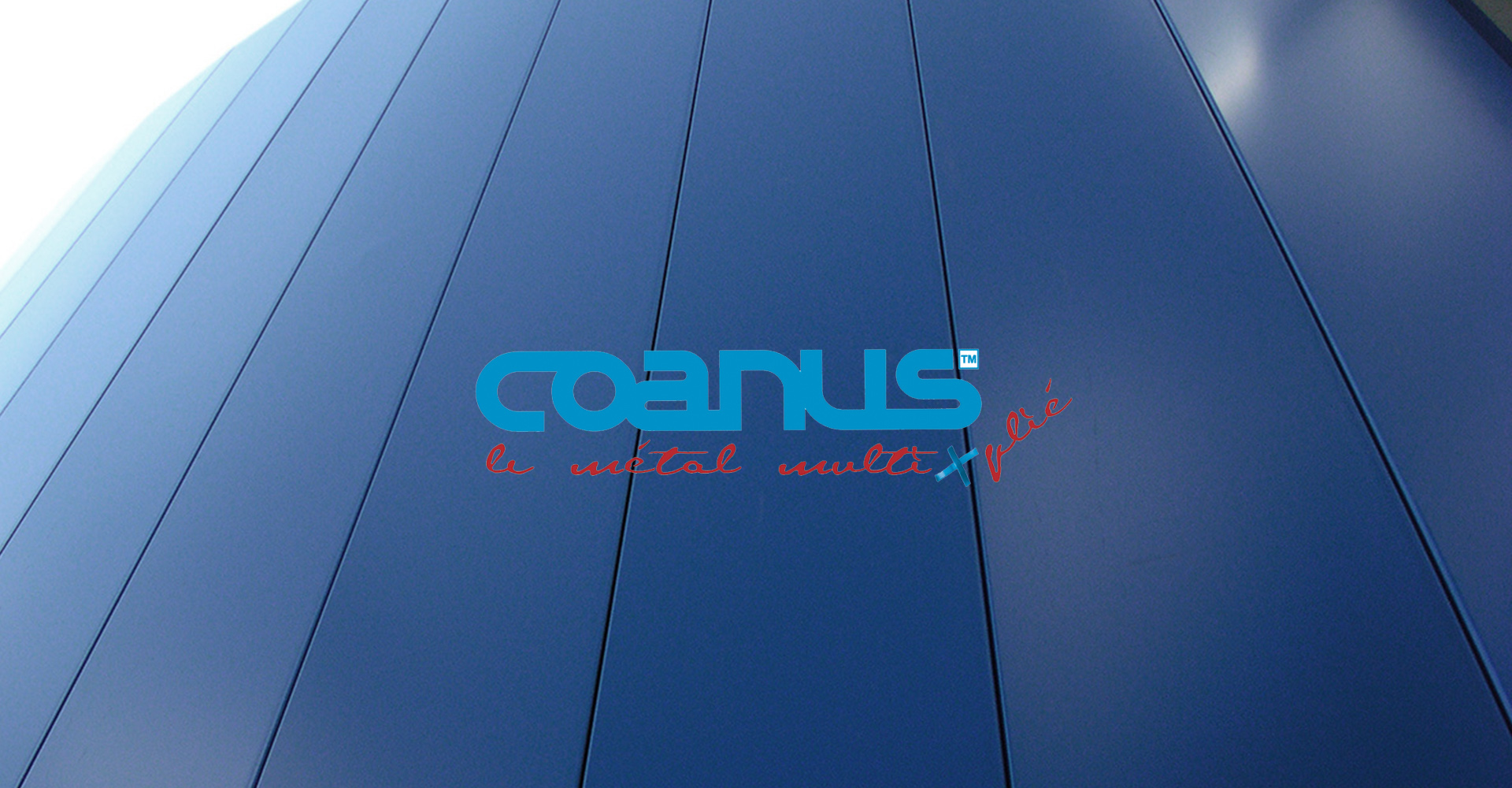 creation site internet coanus, coanus sud-ouest, site web bordeaux