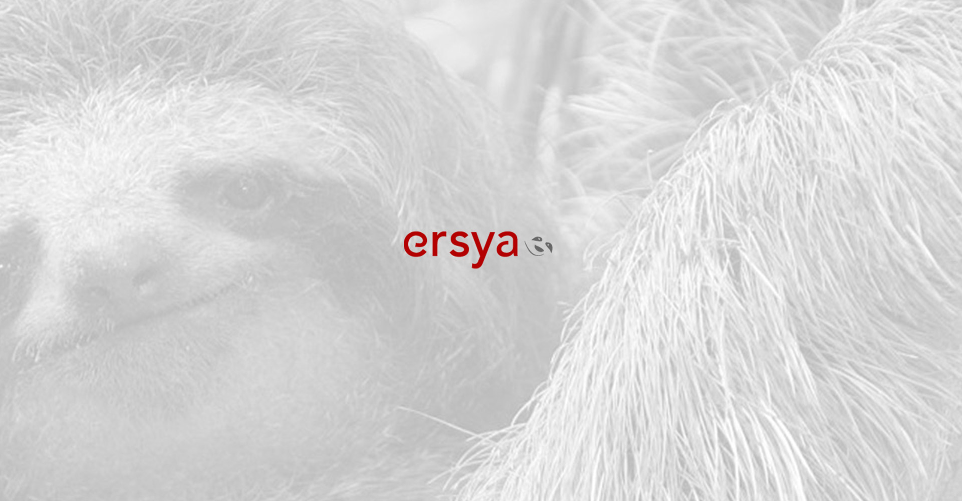 Logo ersya, creation logo bordeaux