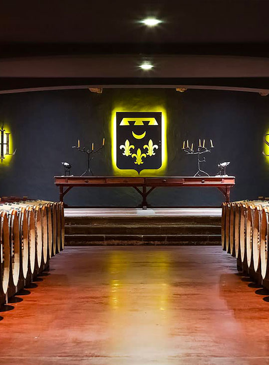 creation web vignobles