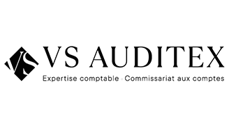 vs auditex logo