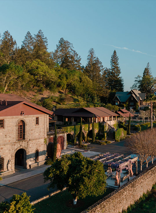 californie vignoble