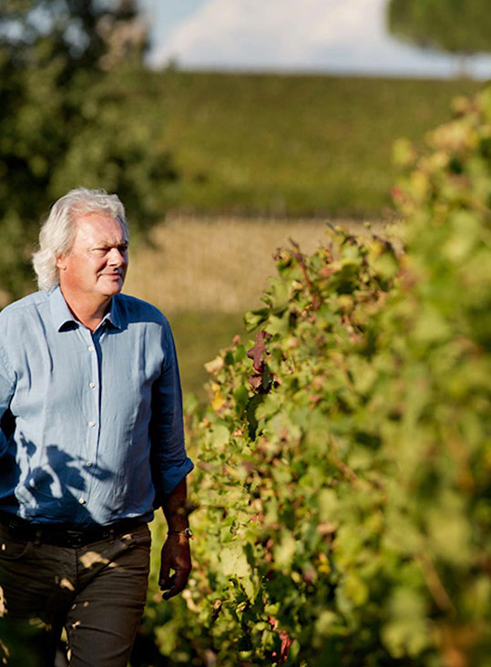 creation site internet vignoble