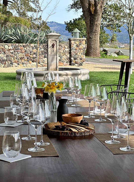 creation web vignobles