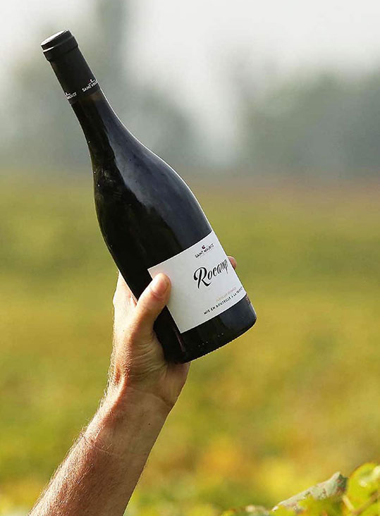 freelance site web vignoble